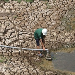 Nước mặn không phải "kẻ thù" của kinh tế Đồng bằng sông Cửu Long